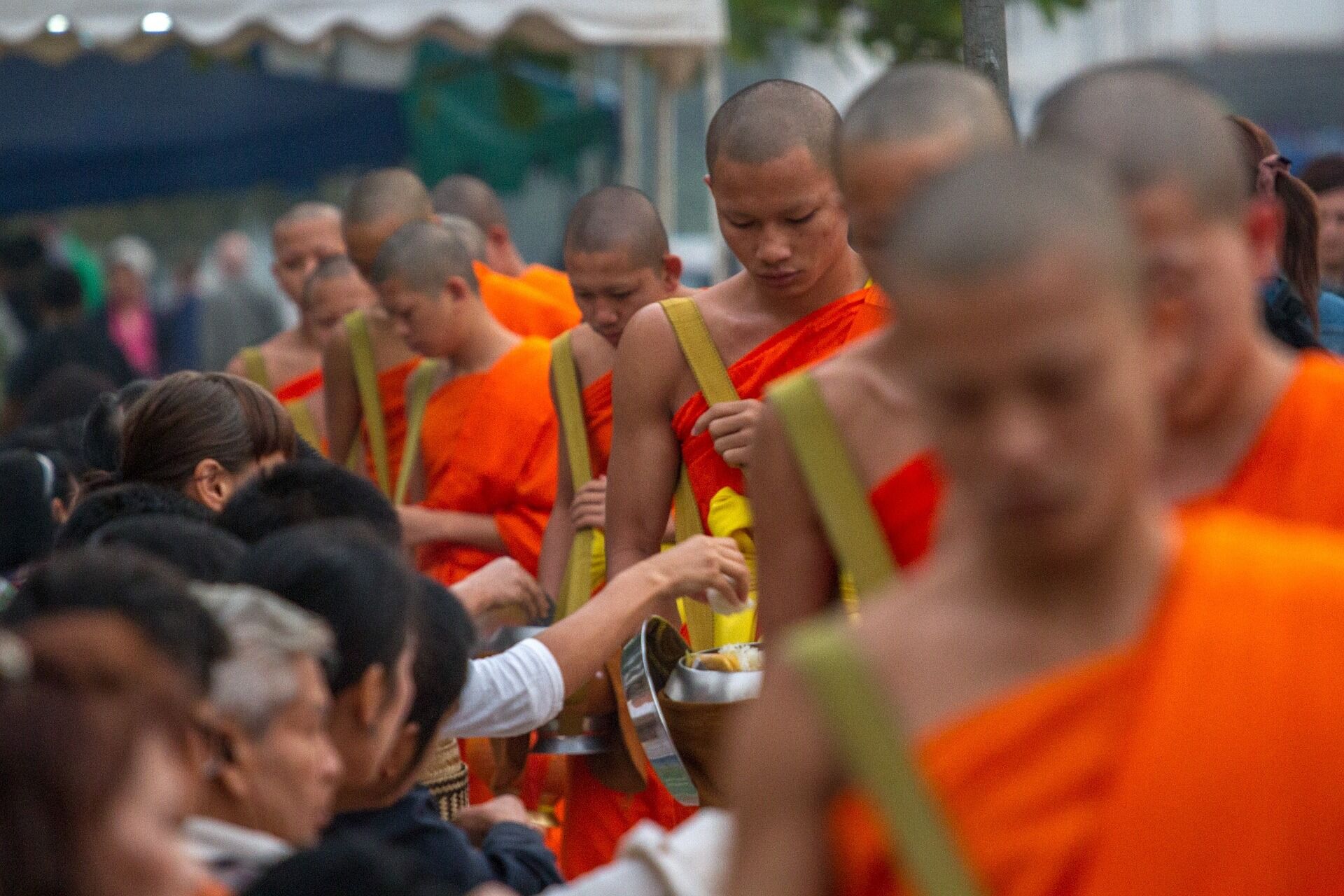 Capture the authentic charm of Luang Prabang’s cultural scene
